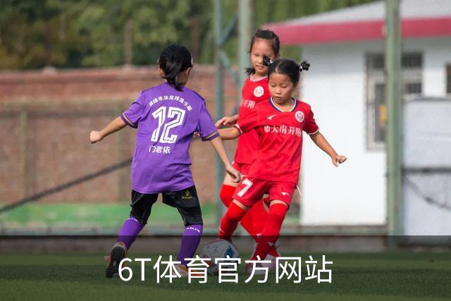 6T体育官方网站公司介绍